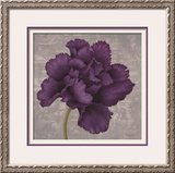 Black Plum 1 Framed Giclee Print by Ariane Martine
