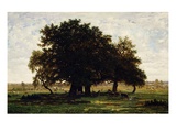 Groupe De Chênes, Apremont (Group of Oak Trees, Apremont, Forest of Fontainebleau, France) Giclee Print by Theodore Rousseau