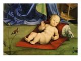 The Christ Child, from Pala Bentivoglio (The Bentivoglio Altarpiece) (Detail) Giclee Print by Francesco Francia