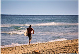 Surfer Boca Raton Florida Photo