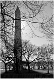 Washington Monument Black and White DC Prints