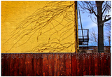 Colorful View in Brooklyn New York Prints