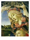 The Madonna of the Magnificat, C.1465 Giclee Print by Sandro Botticelli