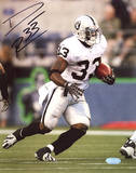 Dominic Rhodes Raiders Photo