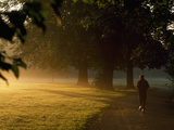 A Jogger Running in Early Morning Mist Photographic Print by Norbert Rosing