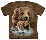 Find 10 Brown Bear T-shirts