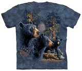Find 13 Black Bear T-shirts
