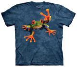 Victory Frog Vêtement
