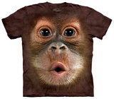 Big Face Baby Orangutan Shirts