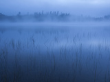 A Blanket of Mist Covers Connery Pond at Dawn Photographic Print by Michael Melford
