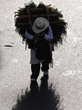 A Silletero Carries Flowers to Sell at the Flower Festival Parade Photographic Print by Kike Calvo