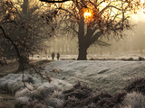 A Couple Walk in the Winter in Richmond Park Photographie par Alex Saberi