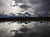 Reflection of Sky and Tundra in Slough Along the Steese Highway Photographic Print by Michael Melford