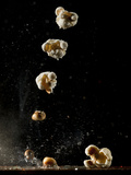 Multiple Exposure of a Single Popping Popcorn Photographic Print by Bruce & Greg Dale