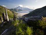 From Norway Pass, Alternating Glimpses of Destruction and Rebirth Photographic Print by Diane & Len Cook & Jenshel