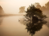 A Grey Heron, Ardea Cinerea, Waits to Catch Fish on Pen Ponds Photographic Print by Alex Saberi