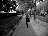 A Woman Walks in a Tree Lined Street in Paris Photographic Print by Jorge Fajl