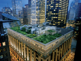 A Green Roof on Chicago's City Hall Photographic Print by Diane & Len Cook & Jenshel