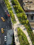 The High Line, a Park Built on a Section of Abandoned Rail Line Photographic Print by Diane & Len Cook & Jenshel