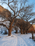 Tire Tracks in Snow Leading Up to Canyon De Chelly Cliffs Photographic Print by James Forte