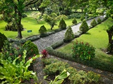 The Sugar Cane Museum Offers Exotic Views of Local Plant Life Photographic Print by Kike Calvo