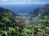 Kalalau Valley from Phihea Trail Photographic Print by Diane & Len Cook & Jenshel