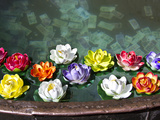Flowers Floating in a Wishing Well Photographic Print by Michael Melford