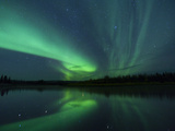 The Aurora Borealis Streaks the Sky Above Birch Creek Photographic Print by Michael Melford