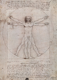 Vitruvian Man - Leonardo da Vinci Poster Prints
