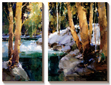 Afternoon Sun Plakater af Ted Goerschner