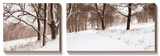 First Snow I Prints by Mike Sleeper