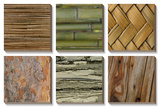 Nature's Textures Art