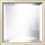 COVENTRY Champagne Thin Mirror Decorative Mirror