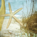 To The Beach Prints by Donna Geissler