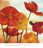 Poppy Variation 2 Prints by Elise Remender