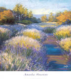 Lavender 2 Prints by Amanda Houston