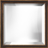 CIRRUS Bronze and Gold Mirror Decorative Mirror