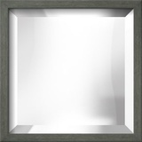 CHELSEA Gray Mirror Decorative Mirror