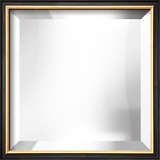 COVENTRY Black Thin Mirror Decorative Mirror