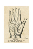 Palmistry: Palm Diagram Prints by Unknown Unknown