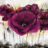 Pavot violet III Posters by  Zacher-finet