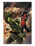 Incredible Hulks 627 Cover: Hulk and Red She-Hulk Fighting Posters by Doug Braithwaite