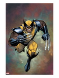 Wolverine #302 Cover Posters por Arthur Adams Wolverine #302 Cover Posters por Arthur Adams