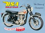 Bsa Goldstar Plaque en métal