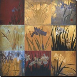 Iris Nine Patch II Stretched Canvas Print by Don Li-Leger