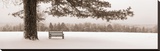 First Snow II Stretched Canvas Print by Mike Sleeper