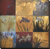 Iris Nine Patch II Stretched Canvas Print by Don Li-Leger