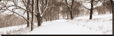 First Snow I Stretched Canvas Print by Mike Sleeper