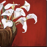 Callas on Red Stretched Canvas Print by Ann Parr