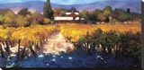 Vineyard Afternoon Stretched Canvas Print by Philip Craig